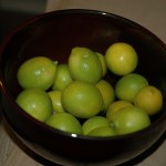 Limequat harvest