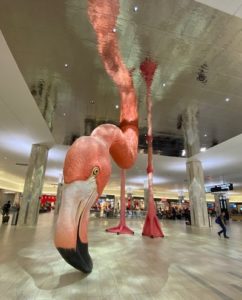 Art display inside Tampa's Intl airport